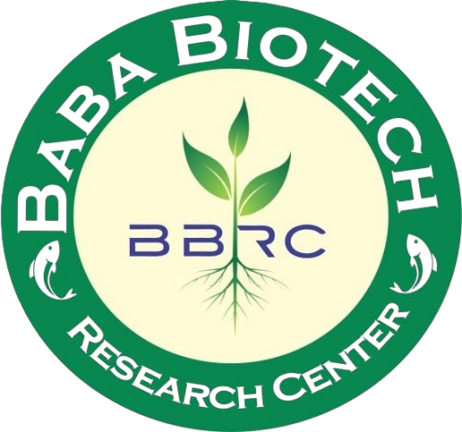 Baba Biotech Logo